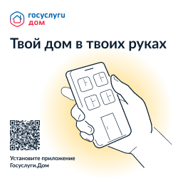Дом Госуслуги